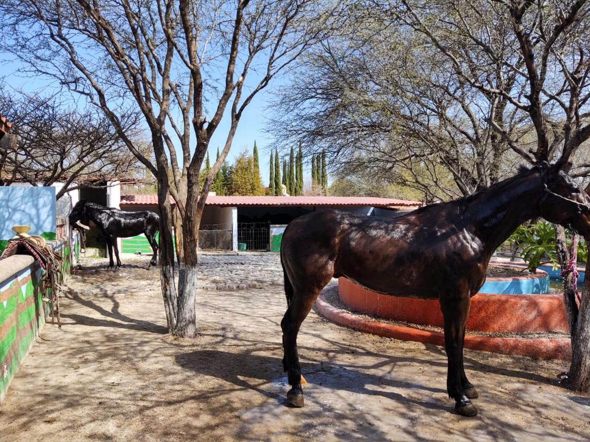 Rancho Labradores Atotonilco  Esterno foto